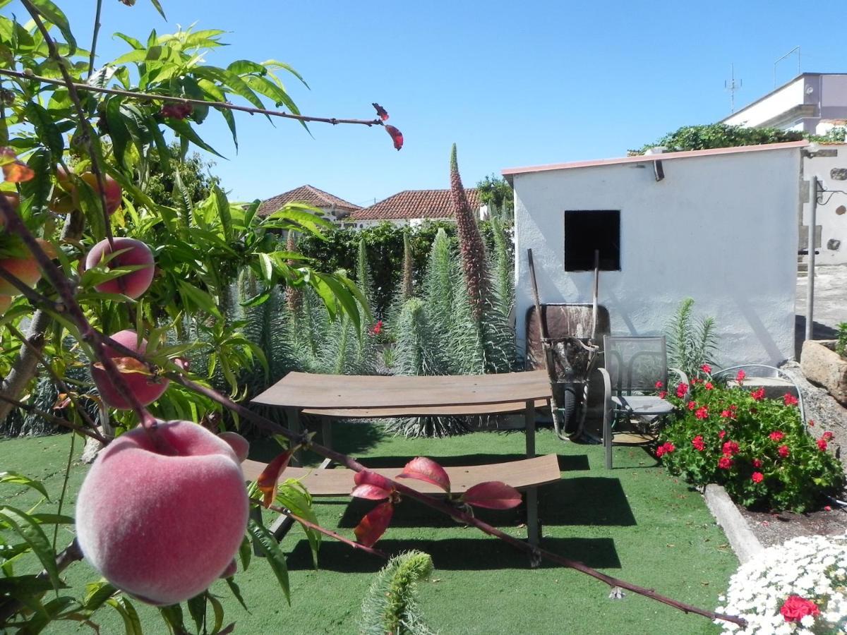 Vila Casa Irma, Great Sea And Mountains Views, Rural House Costa Adeje  Exteriér fotografie